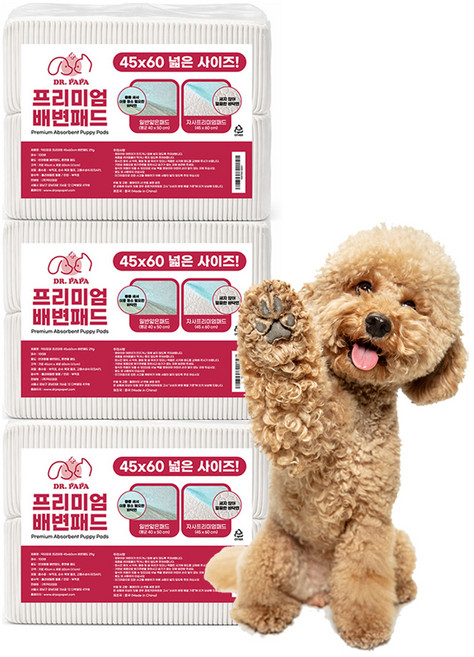닥터파파 프리미엄 배변패드 29g, 100개입, 3개