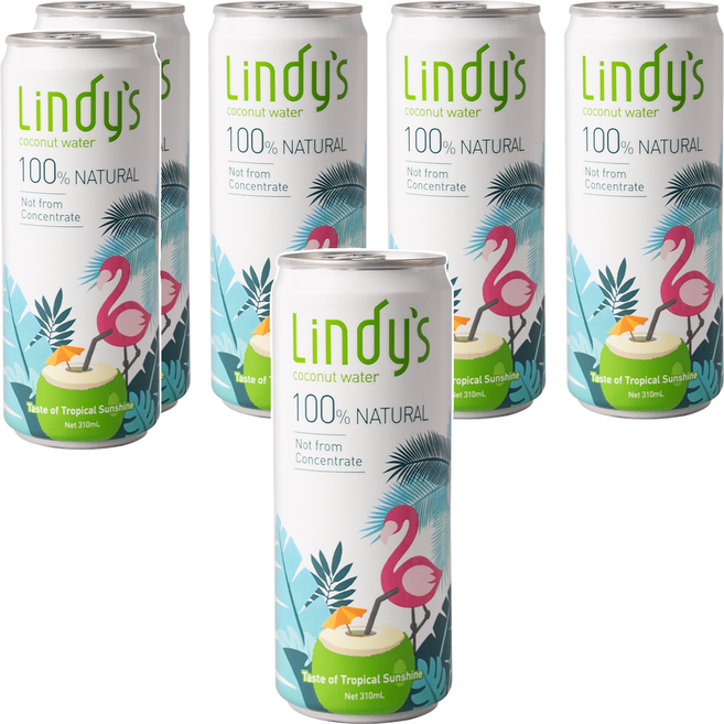 Lindy's 100%原味椰子水, 310ml, 6罐