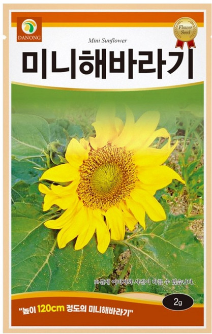 다농 미니 해바라기 씨앗 2g, 1개