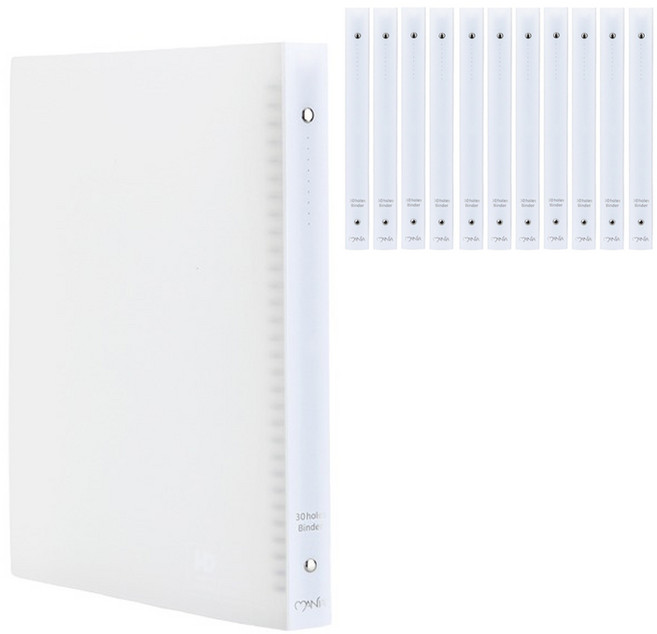 매니아 PP 바인더 파일 30공 A4, 투명, 12개