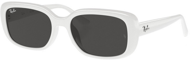 Ray-Ban 雷朋 膠框太陽眼鏡 RB4421D-677287