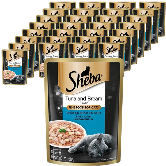 쉬바 1세이상 고양이 주식파우치, 참치+고등어, 70g, 48개