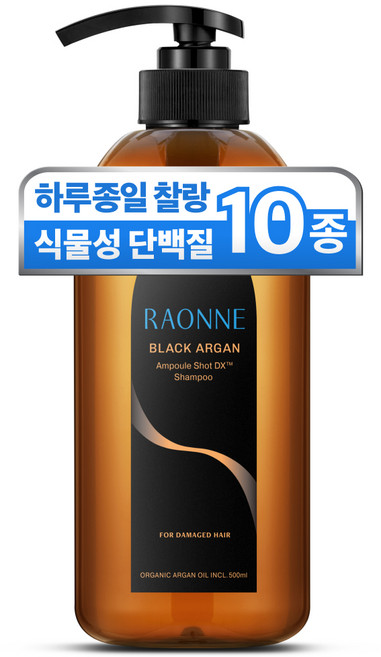라온느 블랙 아르간 고영양 약산성 단백질 샴푸 미용실 극손상 모발용, 500ml, 1개