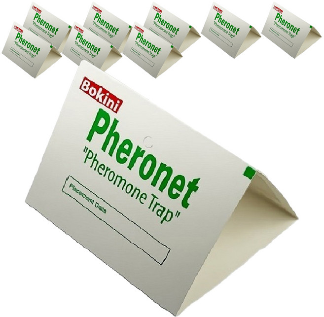 보키니 화랑곡나방 권연벌레 페로몬 트랩 중, 9개