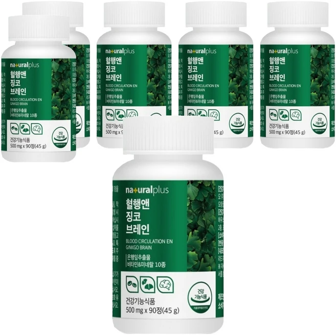 내츄럴플러스 혈행엔 징코 브레인 45g, 90정, 6박스 - 쿠팡