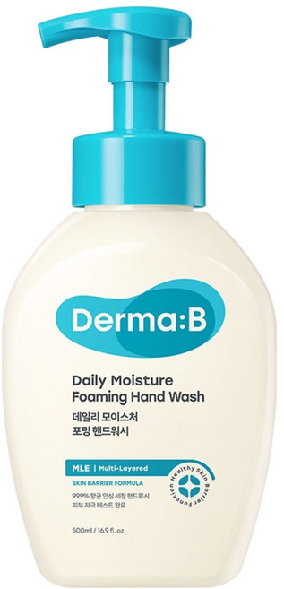 더마비 데일리 모이스처 포밍 핸드워시, 1개, 500ml