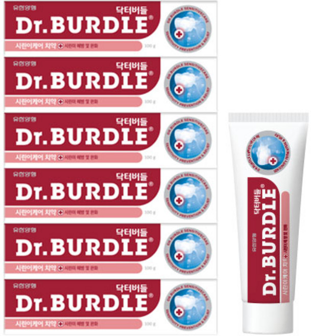 닥터버들 시린이 케어 치약, 100g, 6개