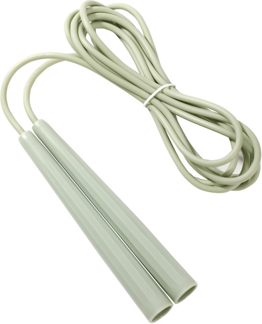 리브스포 기본형 스피드 줄넘기, 민트, 1개