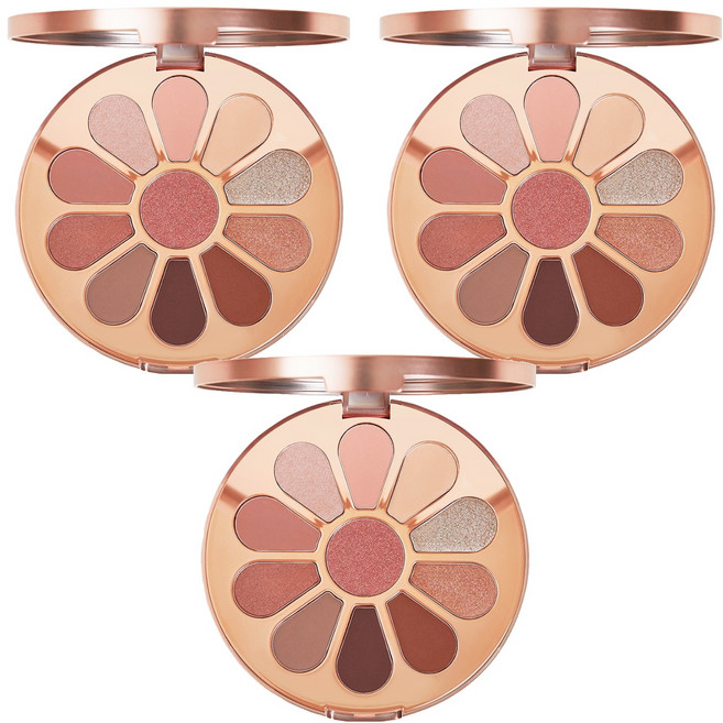 투에이엔 아이섀도우 팔레트 11색 9g, 로즐리블러썸, 3개