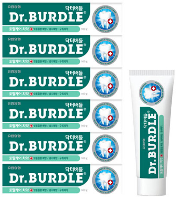 닥터버들 토탈케어 치약, 100g, 6개