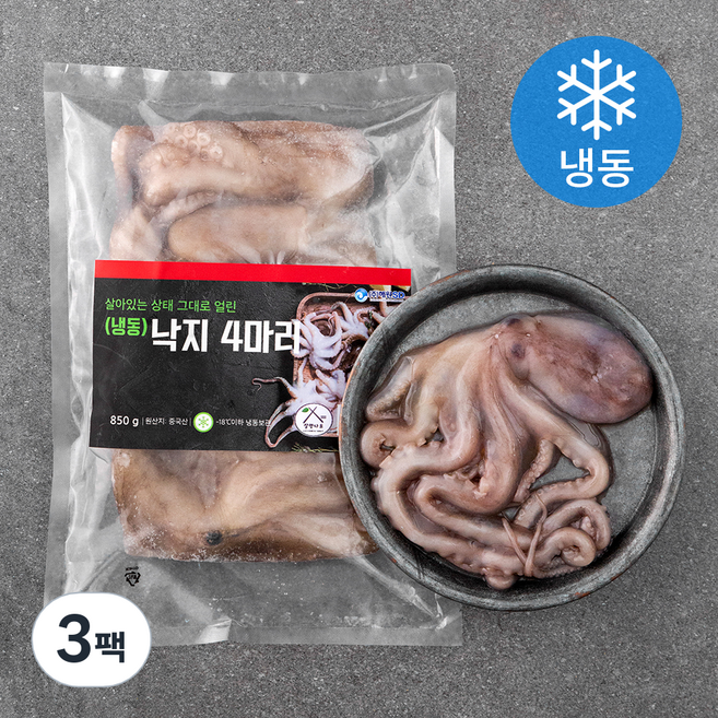 살맛나요 살아있는 상태 그대로 얼린 낙지 4미 (냉동), (4미)850g, 3팩