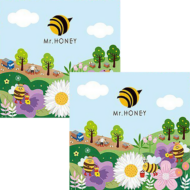 Mr.HONEY 蜂蜜先生 甜心禮盒9入 台灣產蜂蜜 多種口味隨機搭配, 225g, 2盒