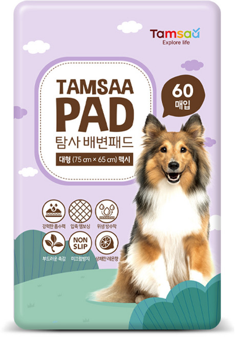 탐사 배변패드 맥시, 60개입, 1개