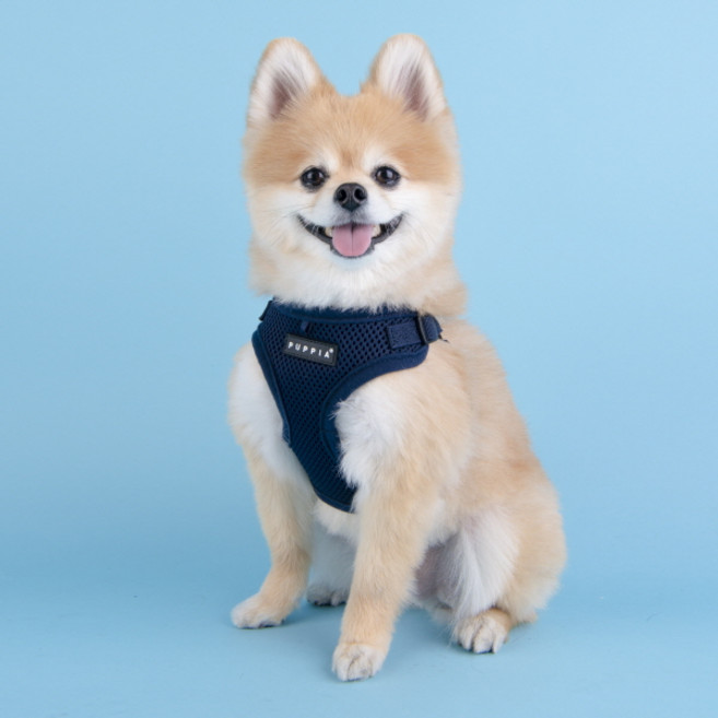 퍼피아 강아지 소프트 C 가슴줄 하네스, 네이비, 1개