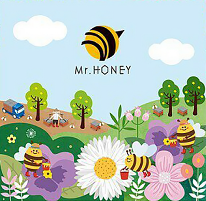 Mr.HONEY 蜂蜜先生 甜心禮盒9入 台灣產蜂蜜 多種口味隨機搭配, 225g, 1盒