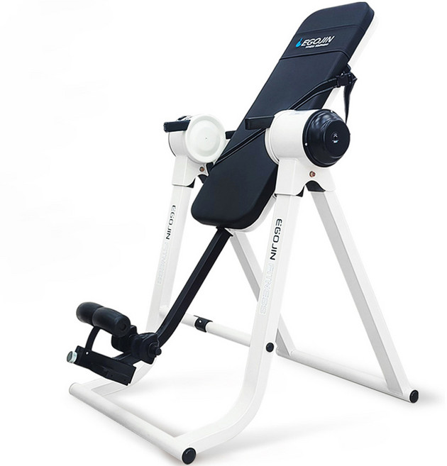 이고진 전동 거꾸리 클럽용 일반형 방문설치, RT74, 화이트