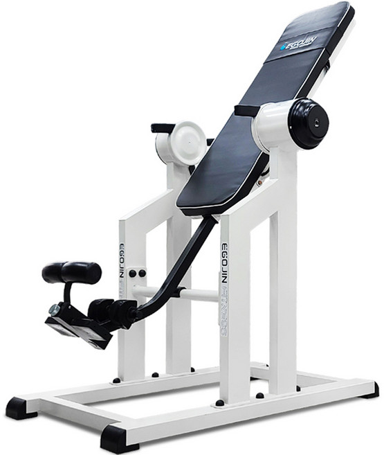 이고진 전동 거꾸리 일반형 방문설치, RT75, 화이트