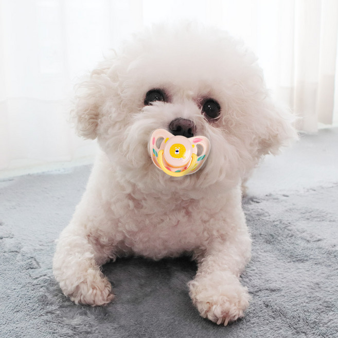 딩동펫 강아지 베이비 쪽쪽이 치발기, 핑크, 1개