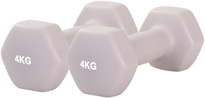 리브스포 논슬립 아령, 4kg, 2개