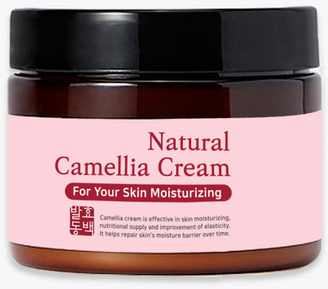 스킨아이 내추럴 발효 동백 크림, 100ml, 1개