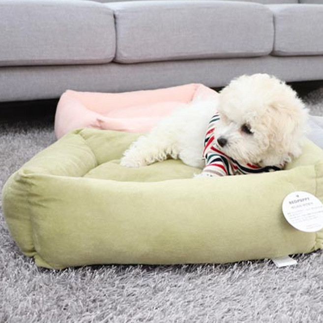 레드퍼피 몰리 스토리 사각방석, 파스텔카키, 1개