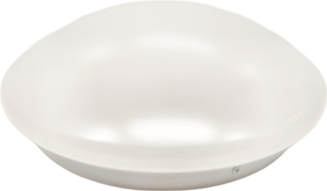 DANCELIGHT 舞光 16W雅緻吸頂燈 LED-CE16DR3 265 x 90mm, 白光