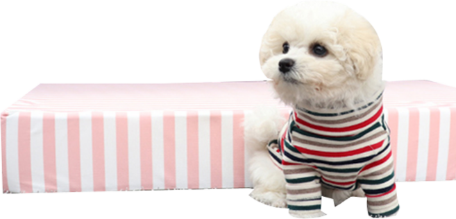 레드퍼피 카노 반려동물 쿨침대, 스카이핑크, 1개