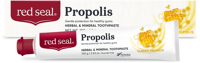 레드씰 프로폴리스 치약, 100g, 1개