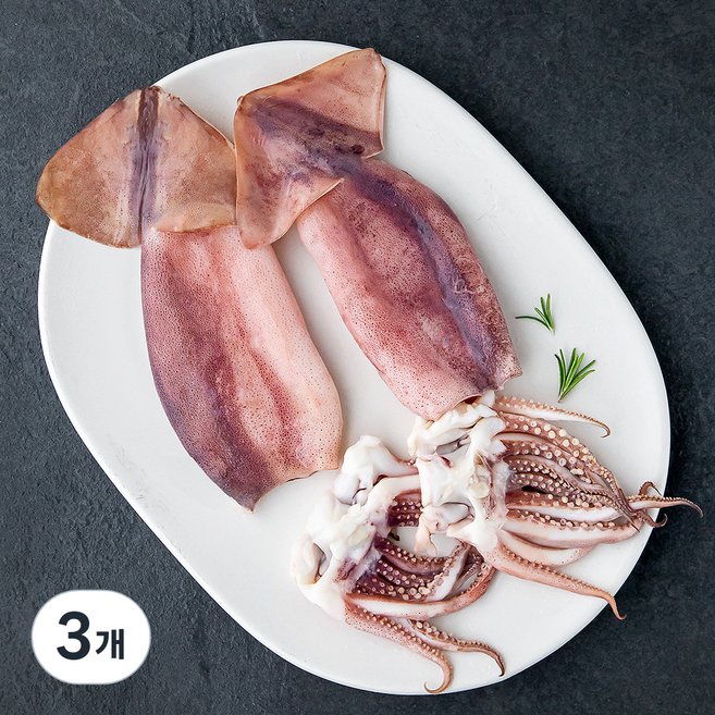 살맛나요 렌지로 간편하게 먹는 데친 통오징어, 3개, 250g