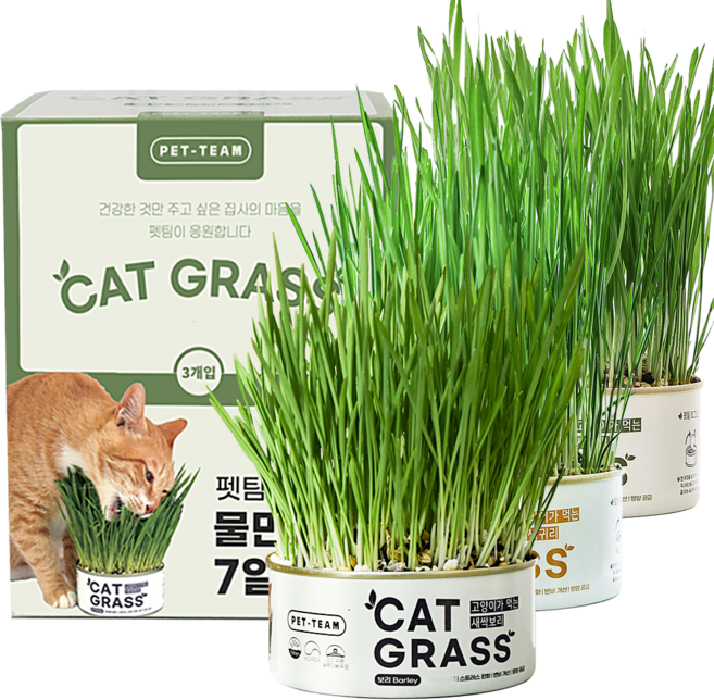 펫팀 고양이 캣그라스 간식, 혼합맛(새싹보리/새싹귀리/새싹밀), 35g, 3개