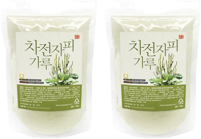 갑당약초 차전자피분말, 300g, 2개