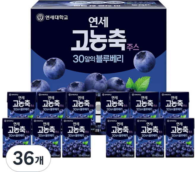 연세유업 고농축주스 30알의 블루베리, 36개, 120ml
