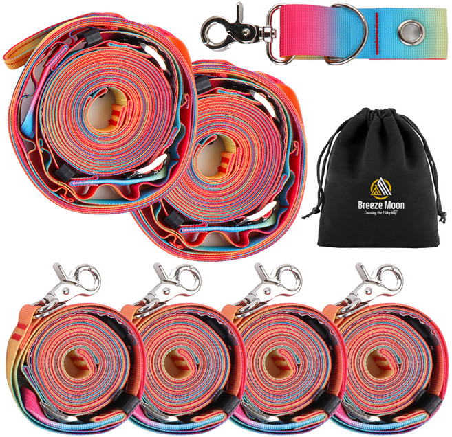 브리즈문 3세대 고강도 타프 웨빙 스트랩 메인 2p + 사이드 4p + 폴대 아일렛 고리 + 파우치 풀세트, 레인보우(스트랩)