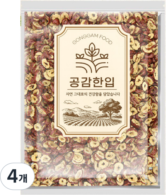 GONGGGAM FOOD 乾紅棗脆片, 100g, 4個
