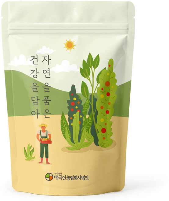 자연닮음 국내산 건취나물, 1개, 100g