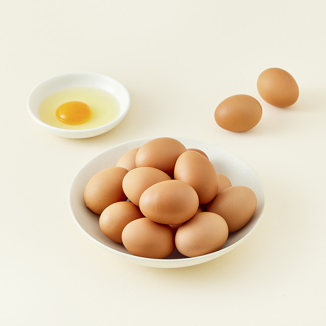 가농 오늘낳은 농장직송 오메가에그 1+ 등급 특란, 25구, 1개