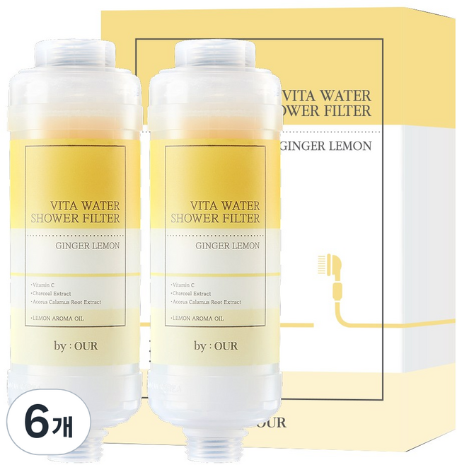 바이아우어 더 안심 비타민 샤워필터, 6개, 진저레몬향