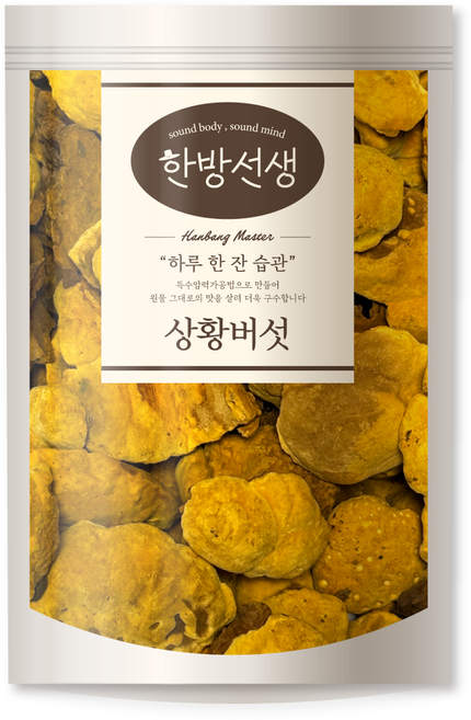 한방선생 국산 상황버섯, 100g, 1개