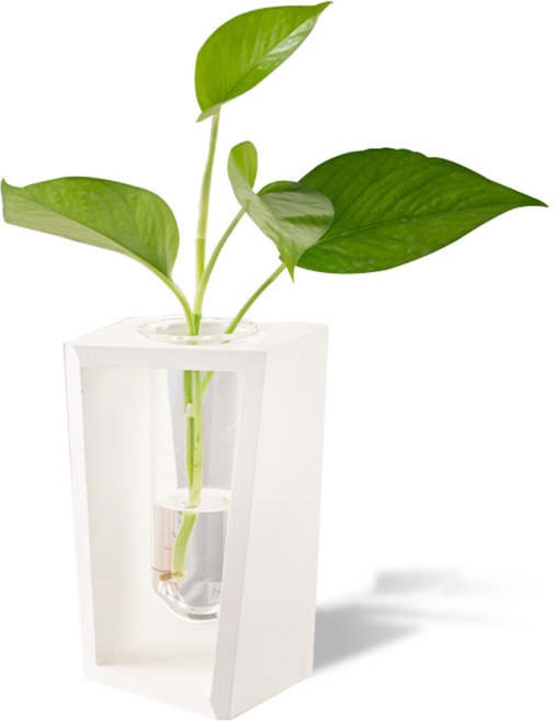 밍샴라이프 수경재배 원목화분 화이트, 1개