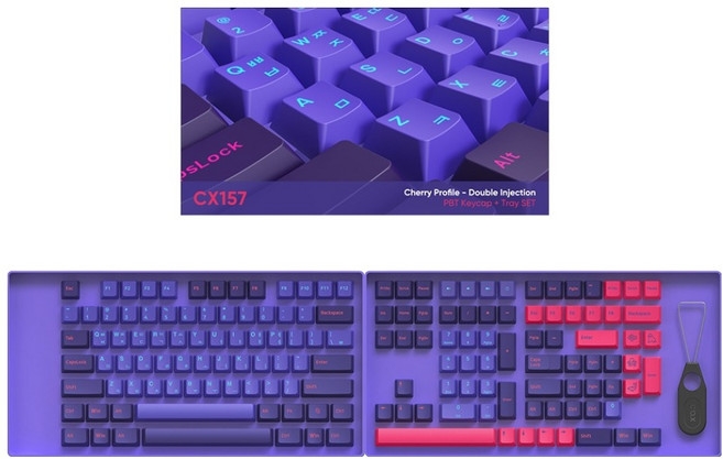 COX 체리프로파일 이색사출 PBT 키캡 트레이 유선 키보드세트, 블루 베타, CX157 PBT, 무접점