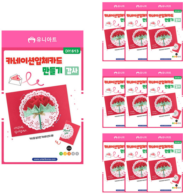 유니아트 카네이션 입체 카드 만들기 DIY613, 감사, 10개