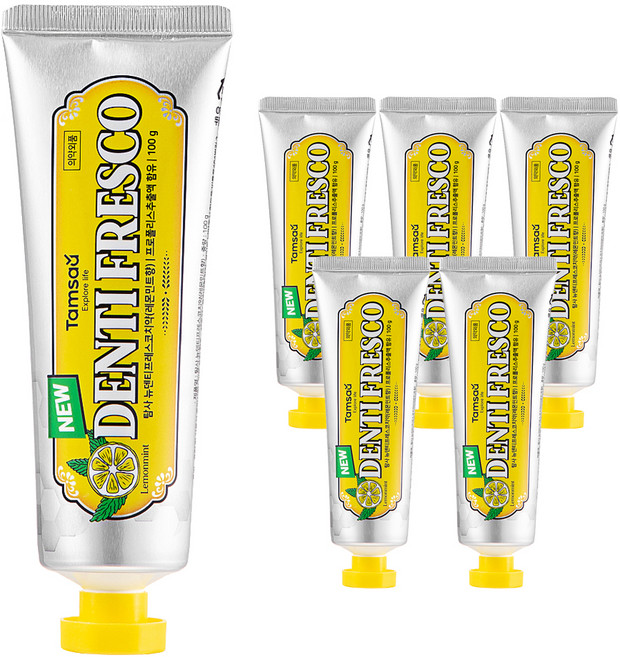 탐사 뉴 덴티프레스코 레몬민트향 구취케어 치약, 100g, 6개