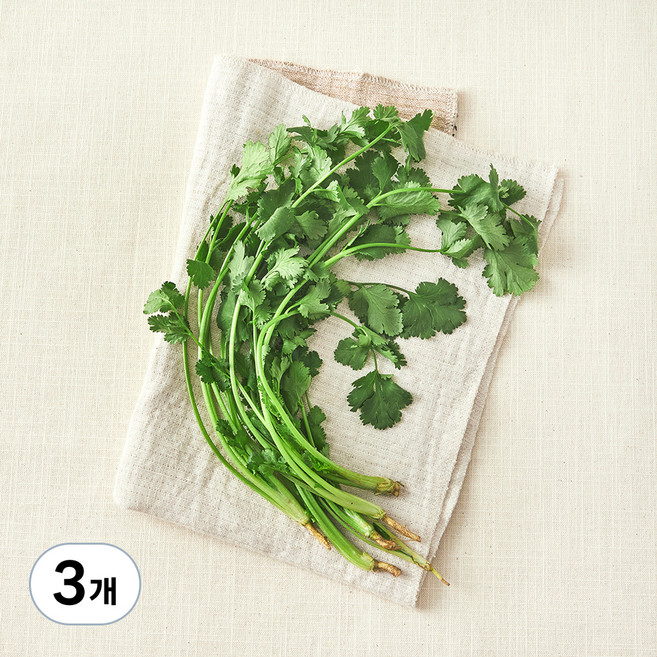 친환경 고수, 3개, 30g