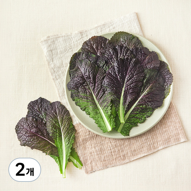 친환경 국내산 적겨자, 2개, 100g
