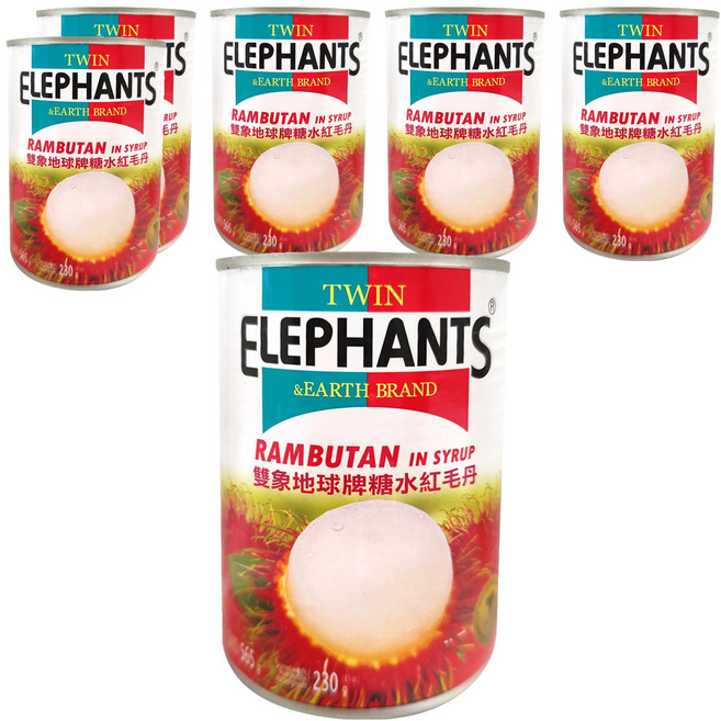 TWIN ELEPHANTS 雙象地球牌 糖水紅毛丹, 565g, 6罐