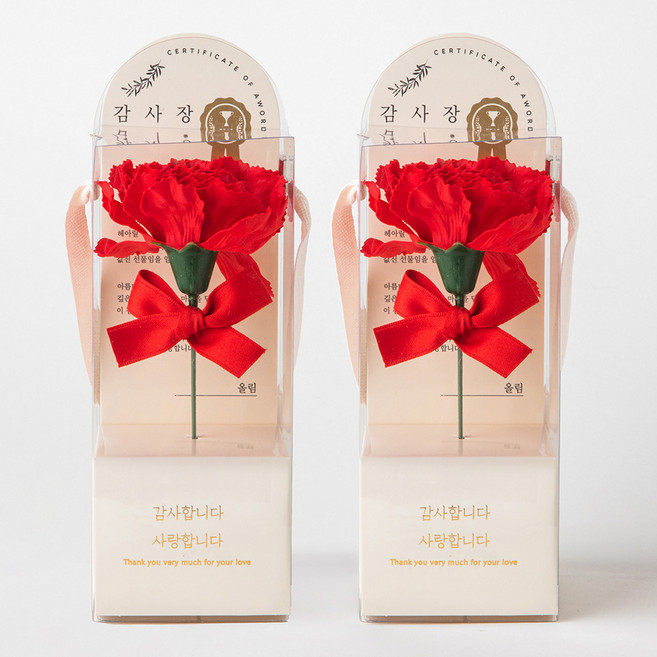 뷰티풀데코센스 비누꽃 한 송이 감사장 카네이션 2종 세트, 레드, 1개