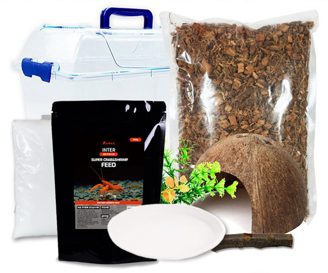 로라펫 소라게 키우기 세트, 혼합색상, 1개