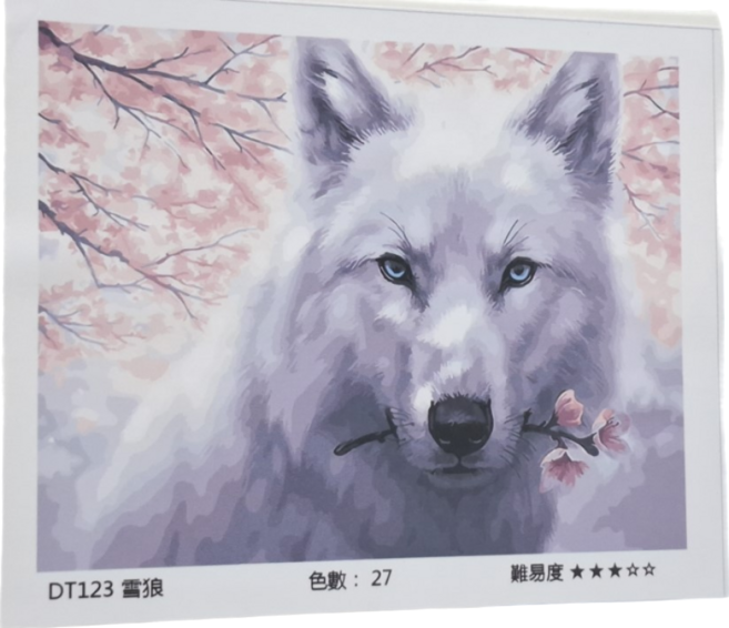 ArtLife 藝術生活 數字油畫DIY DT123 50 x 40cm, 雪狼, 1盒