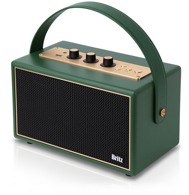 브리츠 더 시그니처 60W 오브제 블루투스 스피커, 다크그린, BZ-JB8000