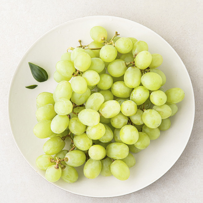 곰곰 칠레산 씨없는 청포도, 450g, 1팩